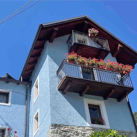 Casa Del Cios Calda E Intima Casetta Immersa Nel Verde Delle Montagne Alpe Basciumo المظهر الخارجي الصورة