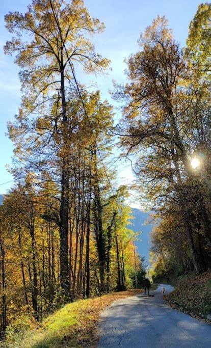 Casa Del Cios Calda E Intima Casetta Immersa Nel Verde Delle Montagne Alpe Basciumo المظهر الخارجي الصورة