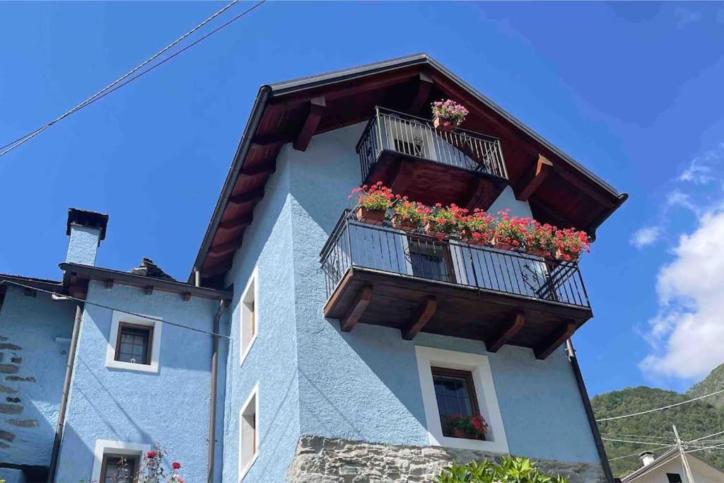 Casa Del Cios Calda E Intima Casetta Immersa Nel Verde Delle Montagne Alpe Basciumo المظهر الخارجي الصورة