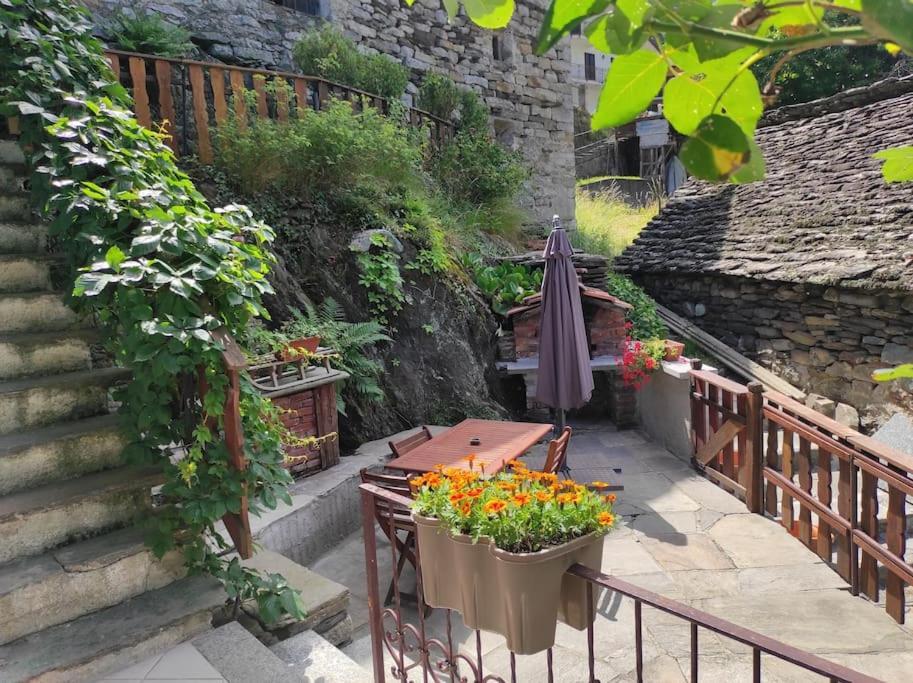Casa Del Cios Calda E Intima Casetta Immersa Nel Verde Delle Montagne Alpe Basciumo المظهر الخارجي الصورة